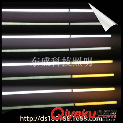LED日光管 廠家直銷 東盛科技照明全塑管 led光管 創意節能管工程專用原始圖片3