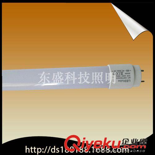 LED日光管 廠家直銷  東盛科技照明T5日光燈 一體化日光燈 6WLED節(jié)能日光燈原始圖片3