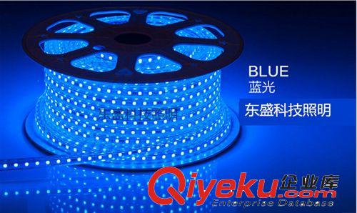 LED燈帶 廠家供應(yīng) 東盛科技LED燈帶 RGB燈帶燈條 七彩燈帶原始圖片2