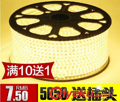 LED燈帶 廠家供應(yīng) 東盛科技LED燈帶 RGB燈帶燈條 七彩燈帶