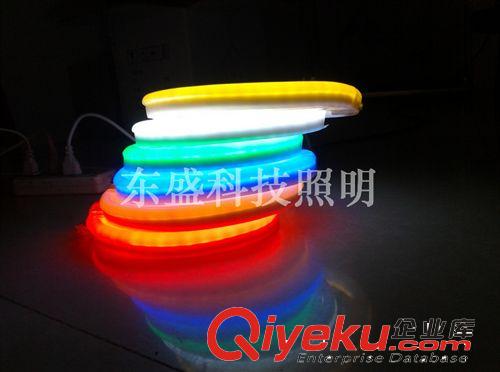 LED燈帶 廠家供應 東盛科技防水燈帶軟燈條 高亮出口軟性LED燈帶原始圖片2