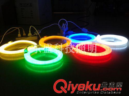 LED燈帶 廠家供應 東盛科技防水燈帶軟燈條 高亮出口軟性LED燈帶原始圖片3
