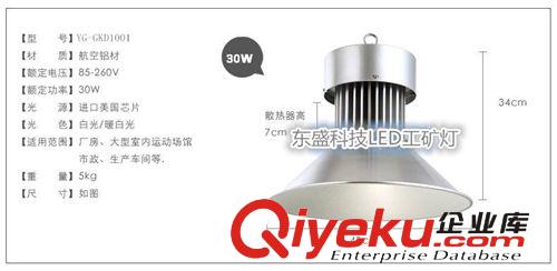 LED燈帶 廠家供應 東盛科技防水燈帶軟燈條 高亮出口軟性LED燈帶