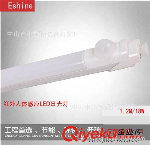 LED日燈管系列 廠家直銷 LED日光燈管T8分體人體感應原始圖片3