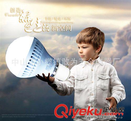 LED球泡 LED BLUBS 廠家直供12V 5W 7W 夜市地?cái)偱艙跽彰鳠襞?DC直流球泡帶電線夾子