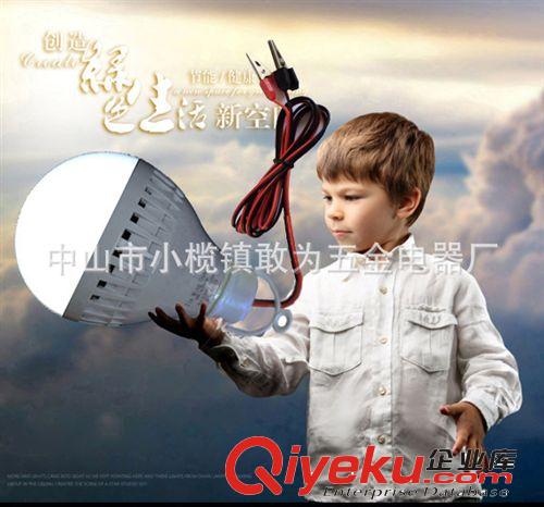 LED球泡 LED BLUBS 廠家直供12V 5W 7W 夜市地?cái)偱艙跽彰鳠襞?DC直流球泡帶電線夾子