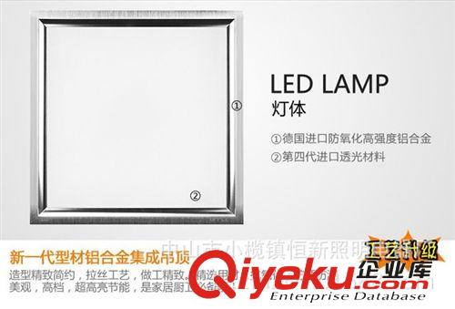 LED集成吊頂 廚衛燈 300*300LED集成吊頂燈  12W300*300廚衛燈