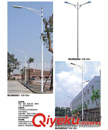 道路照明燈 路燈 LED路燈 LED照明 LED道路照明燈 LED燈 6米-12米