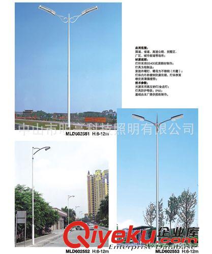 道路照明燈 路燈 LED路燈 LED照明 LED道路照明燈 LED燈 6米-12米