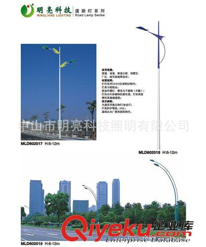 道路照明燈 路燈 LED路燈 LED照明 LED道路照明燈 LED燈 6米-12米