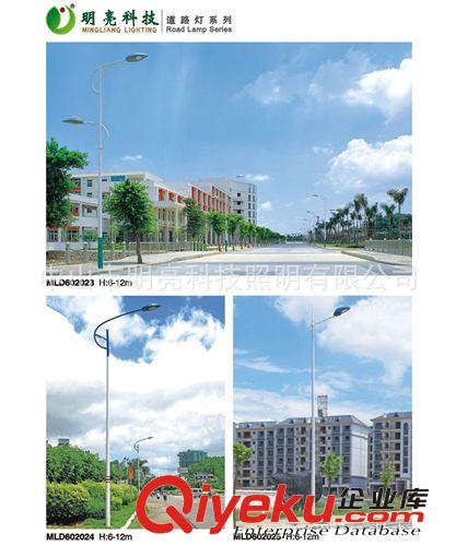 道路照明燈 路燈 LED路燈 LED照明 LED道路照明燈 LED燈 6米-12米