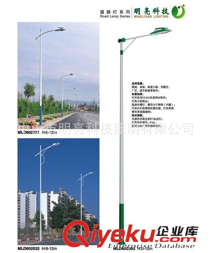 道路照明燈 路燈 LED路燈 LED照明 LED道路照明燈 LED燈 6米-12米