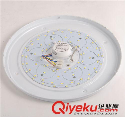 瑞彥LED吸頂燈 工廠批發 LED吸頂燈 現代時尚燈 12w led蘋果吸頂燈原始圖片2