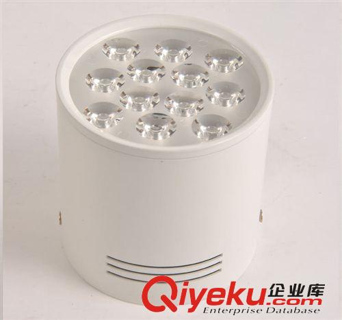 瑞彥LED明裝筒燈 綠色 LED 明裝筒燈 超高亮度 20w COB筒燈 LED燈 LED射燈