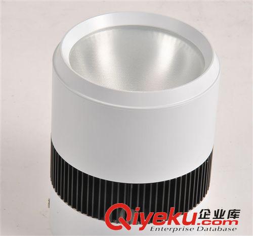瑞彥LED明裝筒燈 綠色 LED 明裝筒燈 超高亮度 20w COB筒燈 LED燈 LED射燈