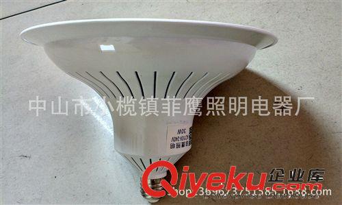 生鮮燈 廠家供應生產LED生鮮燈水果檔燈豬肉檔燈塑料LED生果燈30W