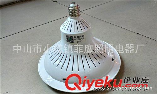 生鮮燈 廠家供應生產(chǎn)LED生鮮燈水果檔燈豬肉檔燈塑料LED生果燈30W