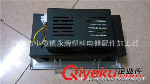 LED天花燈 COB兩頭10W豆膽燈 射燈原始圖片3