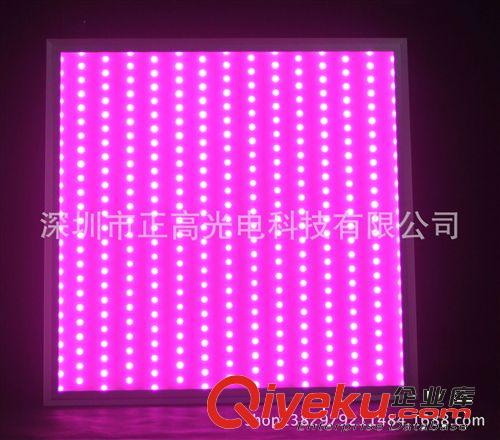 LED植物燈 2014熱銷款 植物補光燈 植物生長燈 植物補償燈 led植物燈