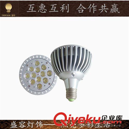 帕燈 12W壓鑄帕燈 LED大功率 廠家直銷 質(zhì)保兩年 電〈點(diǎn)〉亮四方