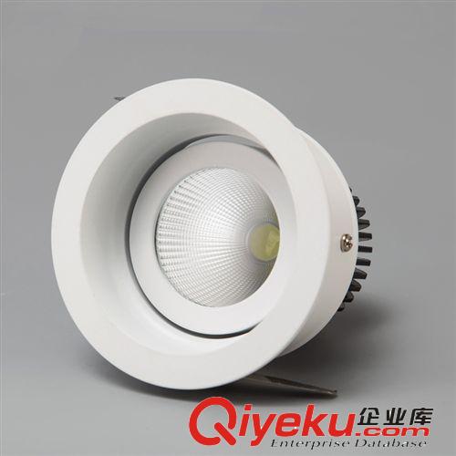 LED射燈 中山LED燈飾批發(fā) COB射燈節(jié)能環(huán)保射燈 大功率高亮天花燈
