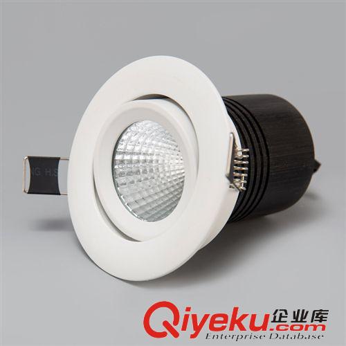 LED射燈 中山LED燈飾批發(fā) COB射燈節(jié)能環(huán)保射燈 大功率高亮天花燈原始圖片2
