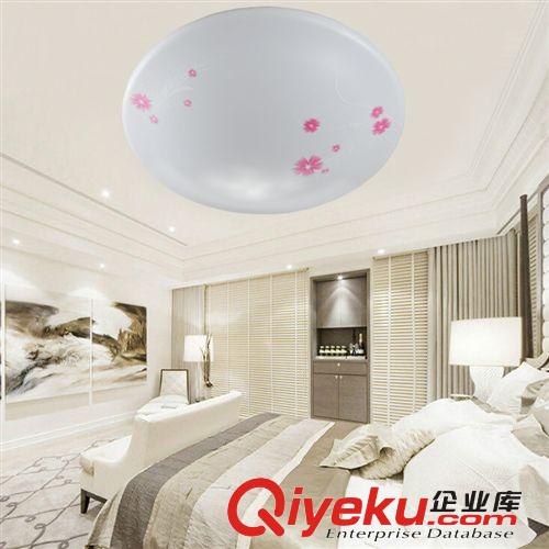 吸頂燈 簡約LED吸頂燈現代亞克力客廳餐廳臥室燈圓形陽臺過道燈飾照明原始圖片3
