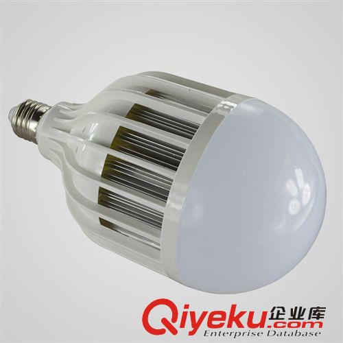 LED光源 LED燈泡批發(fā)廠家室內(nèi)超亮節(jié)能E27螺口24W36W50W球泡