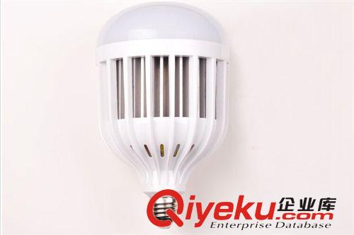 LED光源 廠家直銷 36W50Wled球泡燈套件