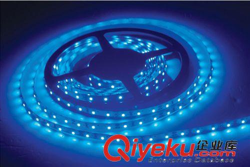 12v LED 燈帶 批發LED 防水燈帶  低壓60燈每米 超亮SMD3528貼片滴膠軟燈條原始圖片3