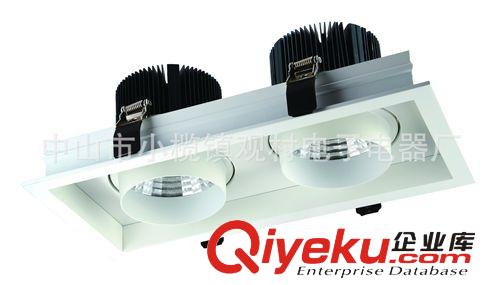 LED格柵射燈系列 強(qiáng)人LED格柵燈 18W/36W/54Wled雙頭格柵燈 豆膽燈大功率 GS5061原始圖片2