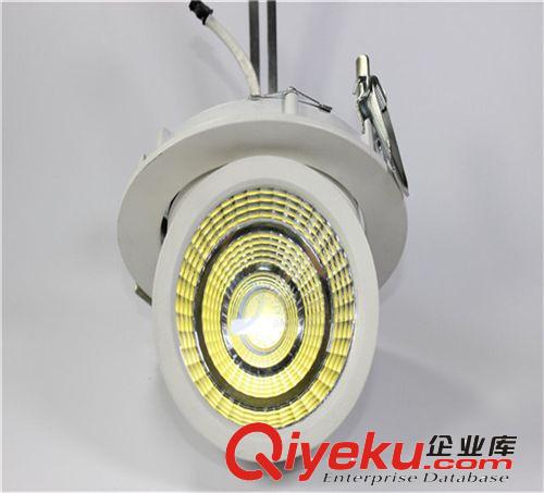 LED成品 LED象鼻天花COB射燈 轉(zhuǎn)角360度可調(diào)10W 20W 30W室內(nèi)商業(yè)照明批發(fā)