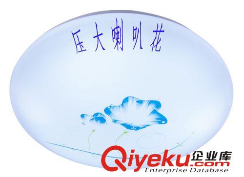 LED圓形吸頂燈 廠家直銷現(xiàn)代簡約時尚節(jié)能吸頂燈