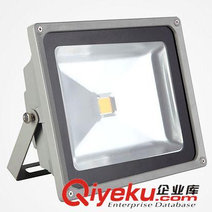 LED投光燈 LED投光燈 聚光燈 投射燈 高亮 50W 集成戶外投光燈 廠家直銷