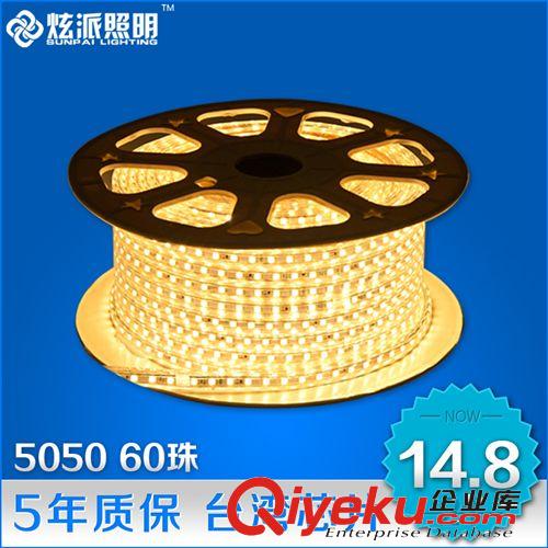 LED 燈 帶 炫派 高亮LED燈帶5050貼片60珠燈條室內(nèi)220V客廳吊頂防水家裝燈帶
