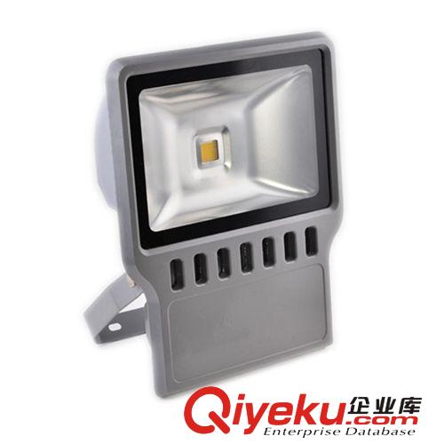 LED投光燈 中山威明LED大功率集成投光燈  30W綠光泛光燈戶外投射燈