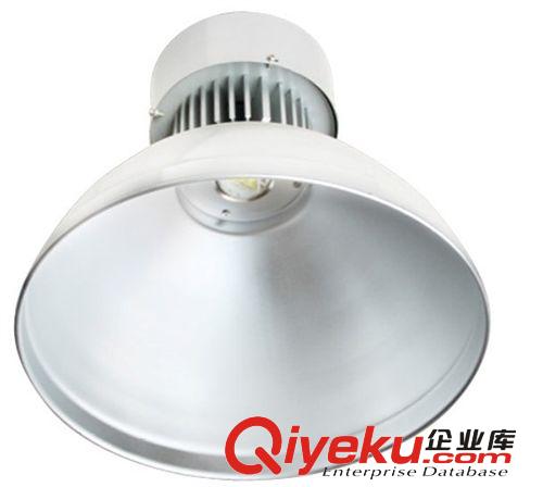 LED工礦燈 廠家直銷 供應LED大功率工礦燈100W 品質保障