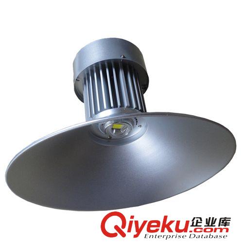 LED工礦燈 廠家直銷 供應LED大功率工礦燈100W 品質保障