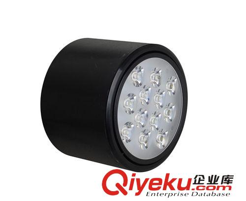 LED筒燈 廠家直銷 供應LED大功率 明裝筒燈12w 品質保障原始圖片2