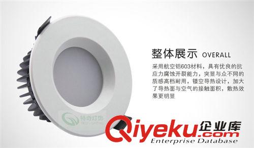 LED燈具 供應(yīng)特奇燈飾筒燈筒燈