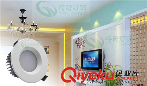 LED燈具 供應(yīng)特奇燈飾筒燈筒燈