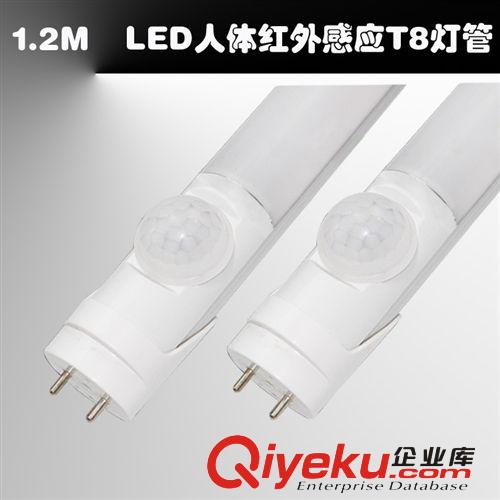 LED聲光控?zé)魧?zhuān)區(qū) LED吸頂聲控?zé)舴浪辣I燈LED感應(yīng)式樓道燈LED聲光控?zé)艄こ叹€款