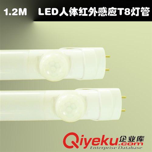 LED人體感應(yīng)燈專(zhuān)區(qū) 夜光美 LED T8人體紅外感應(yīng)LED日光燈管車(chē)庫(kù)燈感應(yīng)燈18W智能燈管原始圖片2