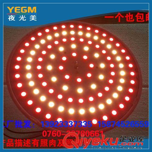 LED生鮮燈 批發(fā)供應(yīng) 各款高亮led生鮮燈 led節(jié)能環(huán)保型生鮮燈