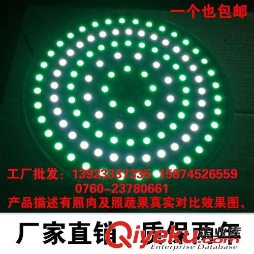 LED生鮮燈 LED豬肉生鮮燈 市場海鮮水果燒臘燈 熟食燈肉檔燈照肉原始圖片2