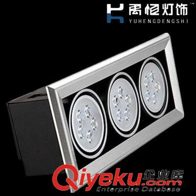 LED豆膽燈 斗膽燈 3頭LED斗膽燈 大功率天花燈豆膽燈 led雙頭斗膽燈廠家直銷
