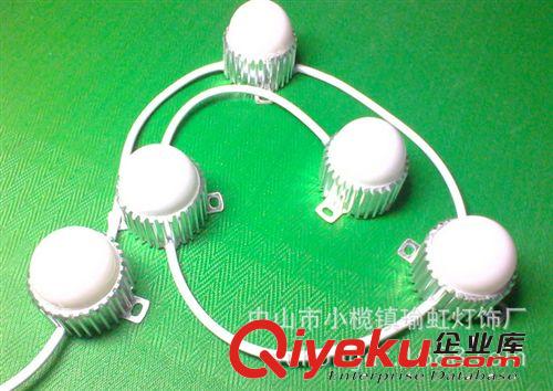 商家推薦 廠家生產(chǎn)YH-DG010戶外防水LED100MM 點(diǎn)光源  多彩點(diǎn)光源原始圖片2