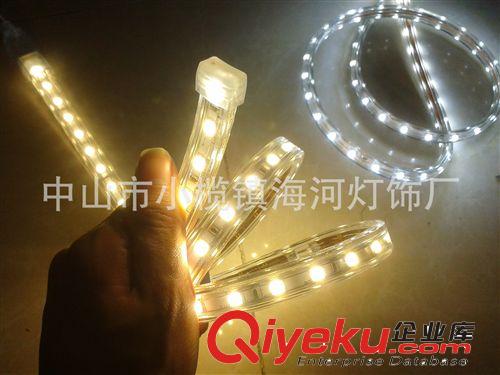 LED貼片燈條 【中山供應】led貼片霓虹燈管 220/110V柔性霓虹燈 出口型燈帶原始圖片3