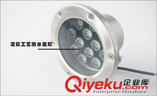 投光燈 中山廠家直銷12W 大功率LED投光燈 LED水底燈，景觀燈