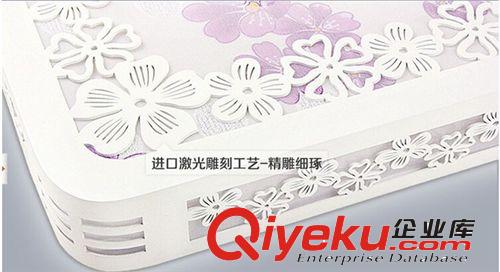 客廳燈 雕花LED吸頂燈 節(jié)能方形客廳燈 現(xiàn)代簡約餐廳燈書房臥室吸頂燈具原始圖片2